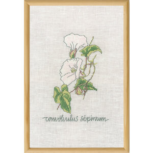 Permin Permin borduurpakket Calystegia 70-1832