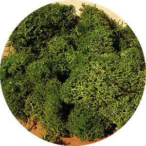 Heki IJslands Mos middengroen 250 gram