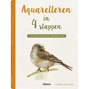 Librero Aquarelleren in 4 stappen