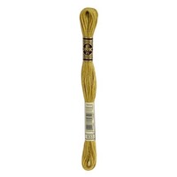 DMC Mouline 833 borduurgaren
