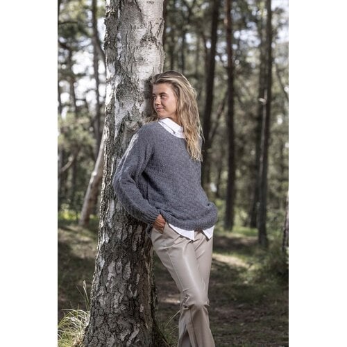 Lang Yarns Lang Yarns Baby Alpaca 0145 Lila