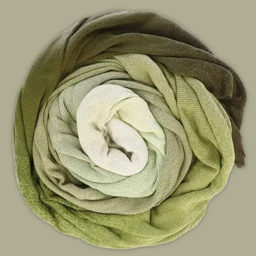 Scheepjeswol Scheepjes Mega Whirl 401 Moodychrome 3000 meter