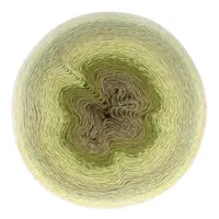 Scheepjes Mega Whirl 401 Moodychrome 3000 meter