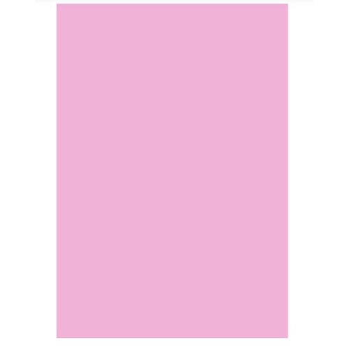 Hobby & Crafting Fun Foam Vellen Lichtroze 22 x 30 cm 10 vel Hobby & Crafting Fun Foam Vellen Lichtroze 22 x 30 cm 10 vel