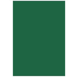 Hobby & Crafting Fun Foam Vellen Donkergroen 22 x 30 cm 10 vel