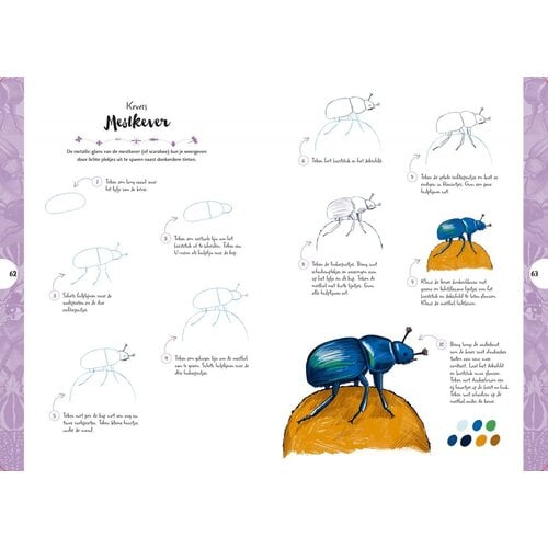 Tekenen in 10 stappen Vlinders, kevers, bijen en andere insecten