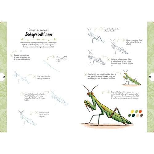 Tekenen in 10 stappen Vlinders, kevers, bijen en andere insecten