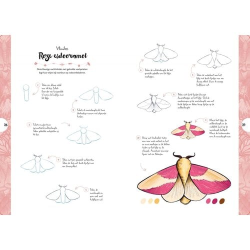 Tekenen in 10 stappen Vlinders, kevers, bijen en andere insecten