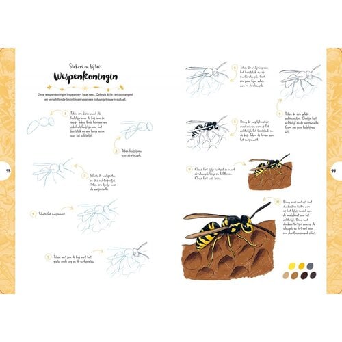 Tekenen in 10 stappen Vlinders, kevers, bijen en andere insecten