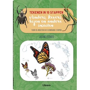 Tekenen in 10 stappen Vlinders, kevers, bijen en andere insecten