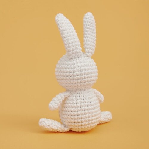 Rico Design Haakpakket Ricorumi Mini Haasje