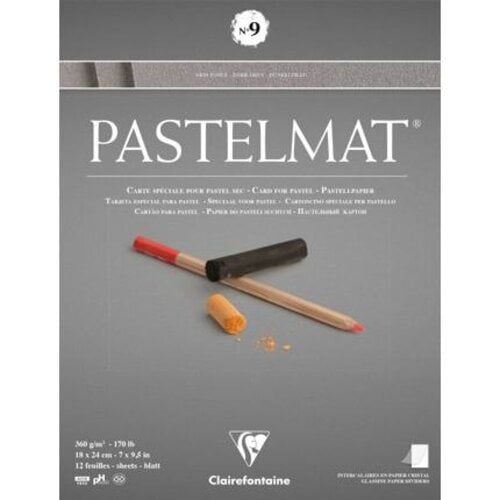 Clairefontaine Clairefontaine Pastelmat Nr 9 Donkergrijs 12 vel 360 grams