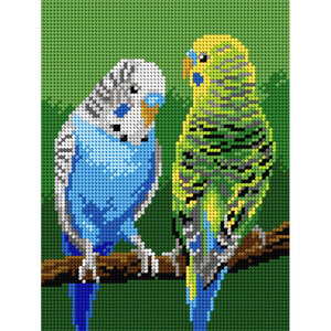 Orchidea Voorbedrukt borduurpakket Grasparkieten Orchidea Voorbedrukt borduurpakket Grasparkieten