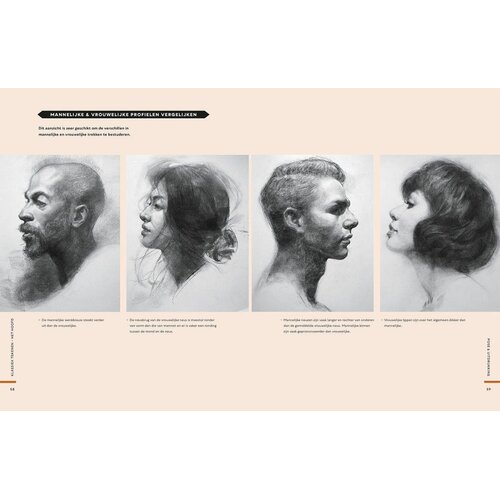 Klassiek Tekenen Het hoofd