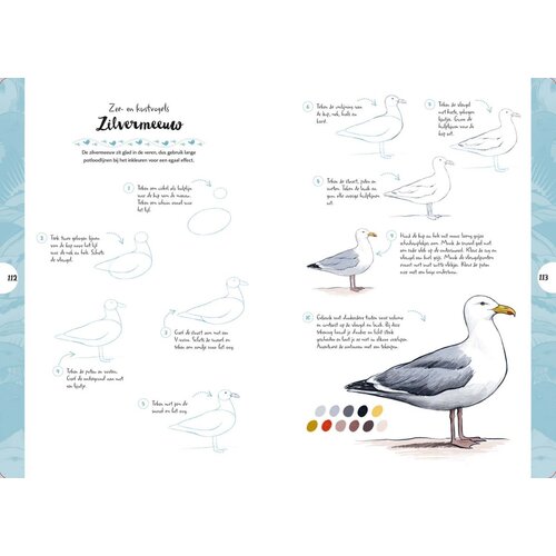 Tekenen in 10 stappen Vogels