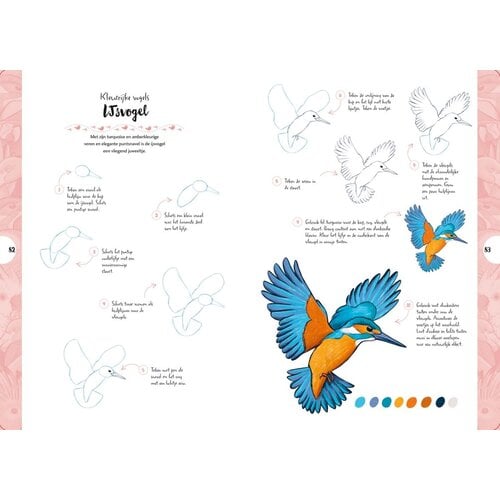 Tekenen in 10 stappen Vogels
