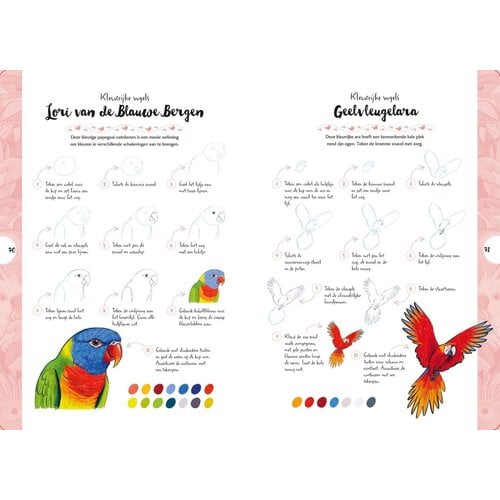 Tekenen in 10 stappen Vogels