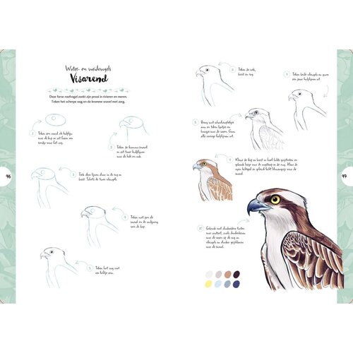 Tekenen in 10 stappen Vogels