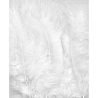 Marabou veren wit 8,5 - 12,5 cm 15 stuks