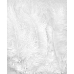 Hobby & Crafting Fun Marabou veren wit 8,5 - 12,5 cm 15 stuks