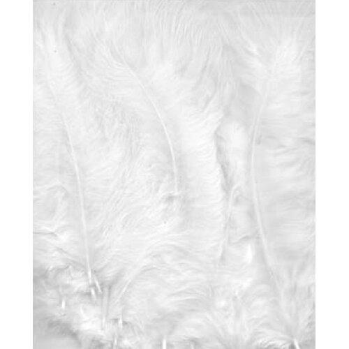 Hobby & Crafting Fun Marabou veren wit 8,5 - 12,5 cm 15 stuks