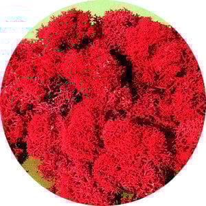 Heki IJslands Mos rood 30 gram