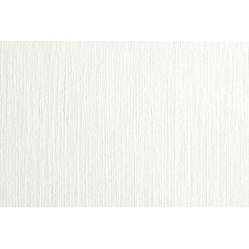 Clairefontaine Clairefontaine Olieverf papier 50 x 65 cm 10 vel 240 grams