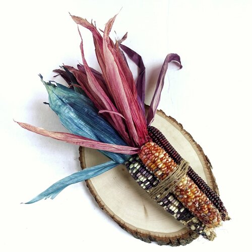 Rit Rit Liquid Dye Cacao Brown 236 ml