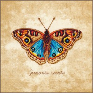 Lanarte Lanarte Borduurpakket Junonia coenia Lanarte Lanarte Borduurpakket Junonia coenia