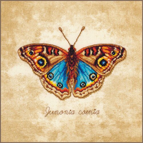 Lanarte Lanarte Borduurpakket Junonia coenia Lanarte Lanarte Borduurpakket Junonia coenia