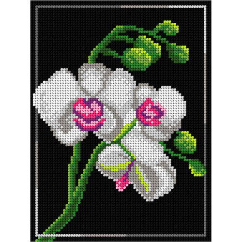 Orchidea Orchidea Voorbedrukt Borduurpakket Witte Orchidee