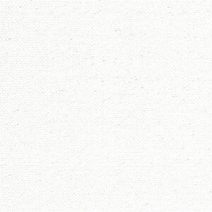 Zweigart Zweigart Lugana 140 cm 25 count nr 99  Opal