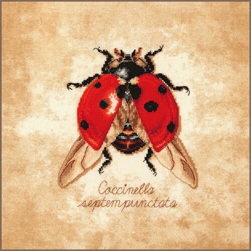 Lanarte Lanarte Borduurpakket Coccinella septempunctata Lanarte Lanarte Borduurpakket Coccinella septempunctata