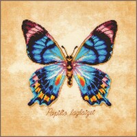 Lanarte Borduurpakket Papilio laglaizei