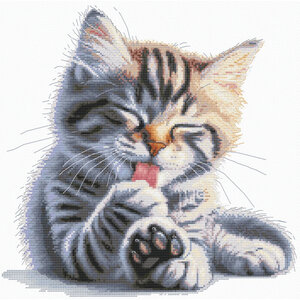 Andriana borduurpakket Soft paws Andriana borduurpakket Soft paws