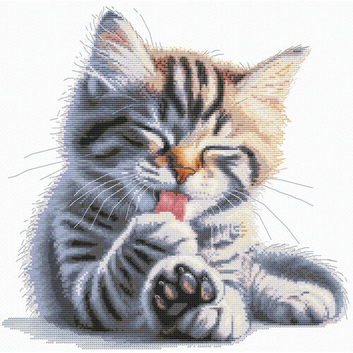 Andriana borduurpakket Soft paws Andriana borduurpakket Soft paws