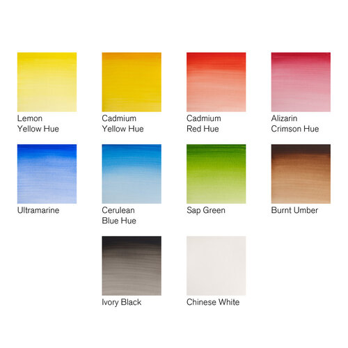 Cotman Winsor & Newton Cotman Aquarelverf set Palet Set 10 x 8 ml Cotman Winsor & Newton Cotman Aquarelverf set Palet Set 10 x 8 ml