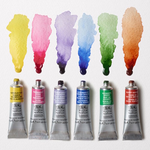 Winsor & Newton Winsor & Newton Professional Watercolour 6 x 5 ml Floral Set