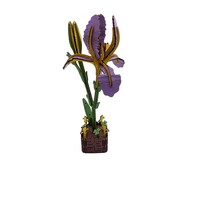 3D bouwpakket Iris