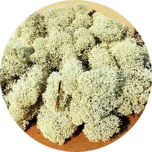 Heki IJslands Mos Grijs 30 gram Heki IJslands Mos Grijs 30 gram