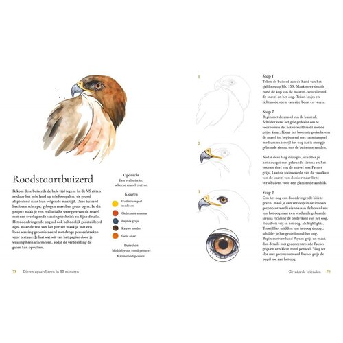 Librero Dieren aquarelleren in 30 minuten Librero Dieren aquarelleren in 30 minuten