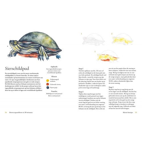 Librero Dieren aquarelleren in 30 minuten Librero Dieren aquarelleren in 30 minuten