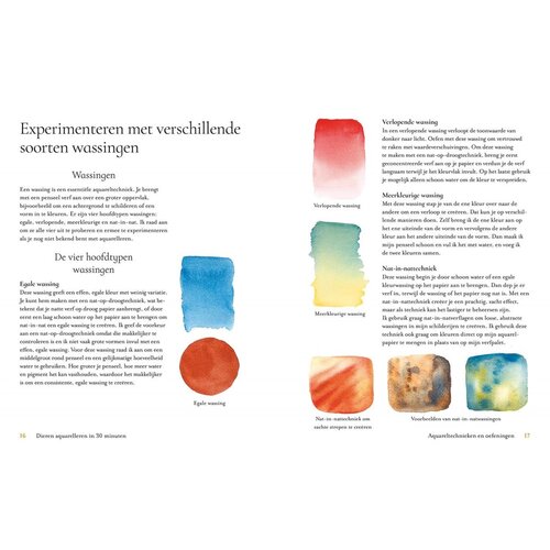 Librero Dieren aquarelleren in 30 minuten Librero Dieren aquarelleren in 30 minuten