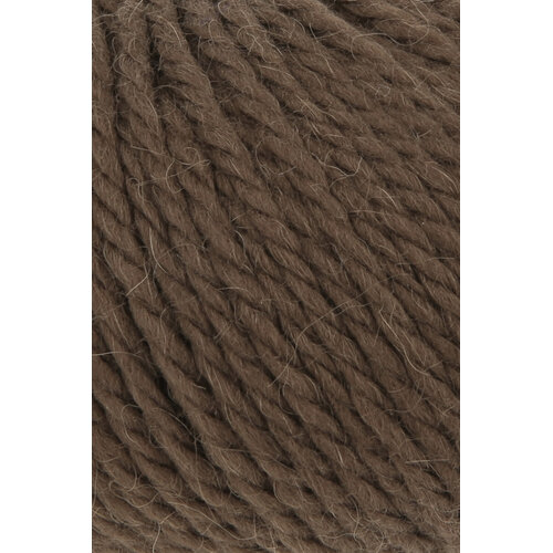 Lang Yarns Lang Yarns Carpe Diem 0167 Bruin Lang Yarns Lang Yarns Carpe Diem 0167 Bruin