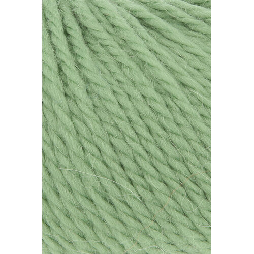 Lang Yarns Lang Yarns Carpe Diem 0017 Lichtgroen Lang Yarns Lang Yarns Carpe Diem 0017 Lichtgroen