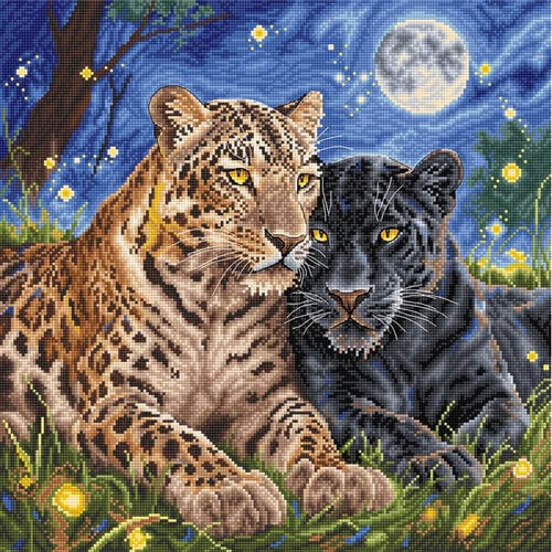 AVA Stitch Ava Stitch borduurpakket The Night of the Felines AVA Stitch Ava Stitch borduurpakket The Night of the Felines