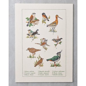Permin Borduurpakket Weidevogel 41 x 56 cm 70-6404