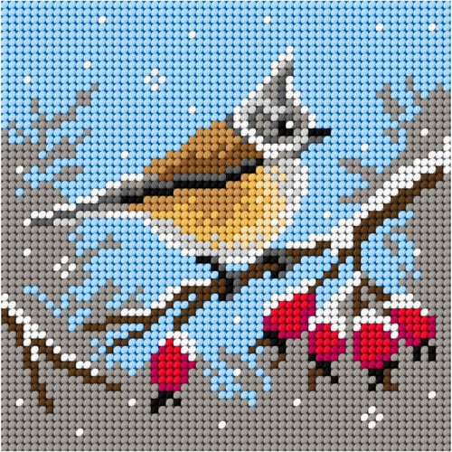 Orchidea Voorbedrukt borduurpakket Waxwing