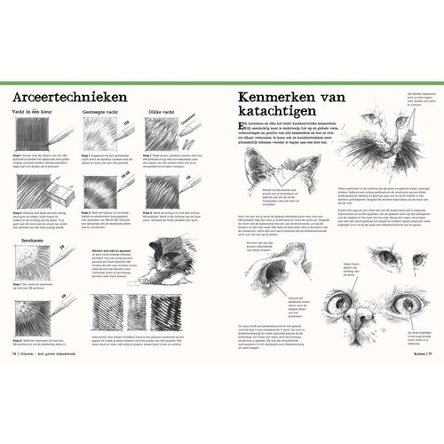 Librero Het grote tekenboek Dieren