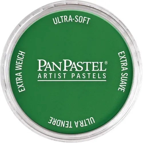 PanPastel PanPastel Pastelnap Permanent Green Shade 640.3